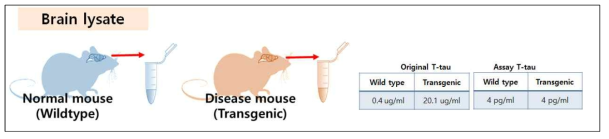 Mouse brain lysates assay