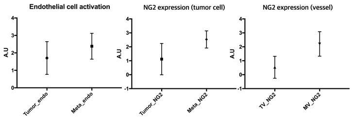 전이암에서의 NG2 expression 양상 정량그래프