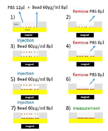 magnetic bead의 occupation방법