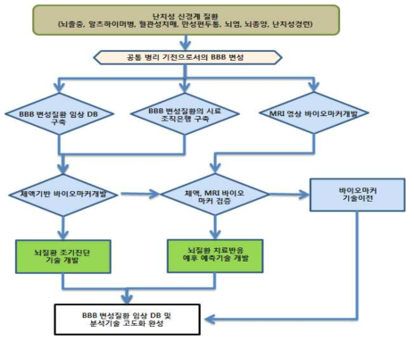 BBB 변성질환 임상 DB 및 분석기술 개발체계도