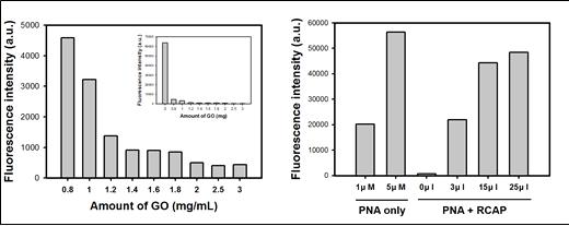 산화그래핀 자성구조체를 이용한 형광 PNA 분획과 S/B ratio 확인