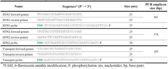 산화그래핀과 형광 핵산을 이용한 인플루엔자 바이러스 RNA 검출 oligo 설계