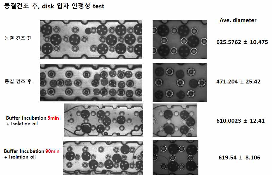 Through hole disk 입자의 동결건조 안정성 실험 결과