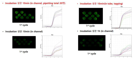 Incubation 조건에 따른 PCR intensity 결과