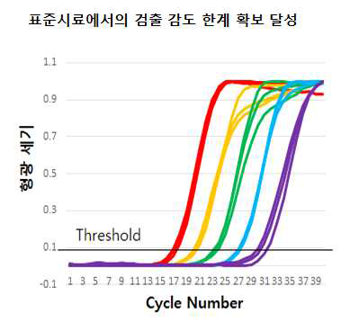 표준시료에서의 검출 감도 한계 확보(~100copies/rxn)