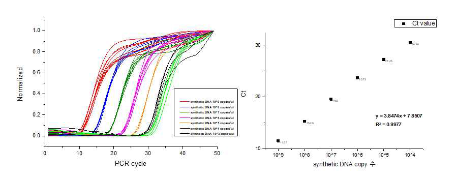 DISK 입자의 qPCR 효율과 최소검출량 측정