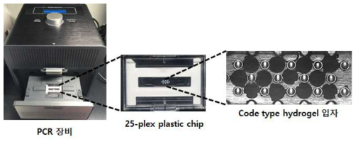 Multiplex one-step RTqPCR assay 개요