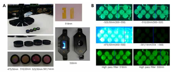 A. 4종의 band pass filter와 2종의 high pass filter. B. 6종의 필터 사용 시 입자의 형광 패턴 비교