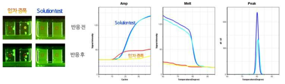 입자를 이용한 1차 qPCR 수행