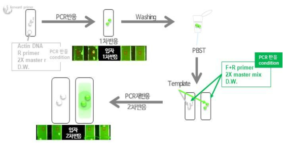 기존 장비에서의 입자 증폭 여부 확인 실험의 scheme