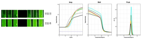 입자를 이용한 2차 qPCR 수행