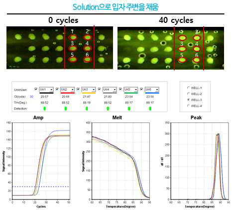 Solution 상태에서의 입자 qPCR 수행