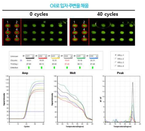 입자를 Oil로 코팅하여 qPCR 수행