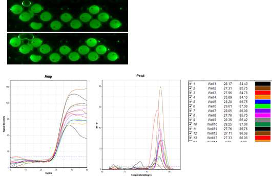 2차 시제품을 사용한 입자 qPCR