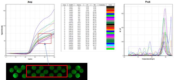 동결건조된 입자를 사용한 qPCR 결과