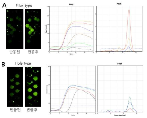 입자 분석용 프로그램을 사용한 실험 결과