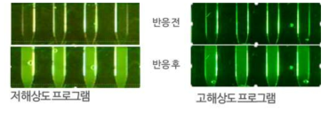 수정된 chip을 사용한 실험 결과