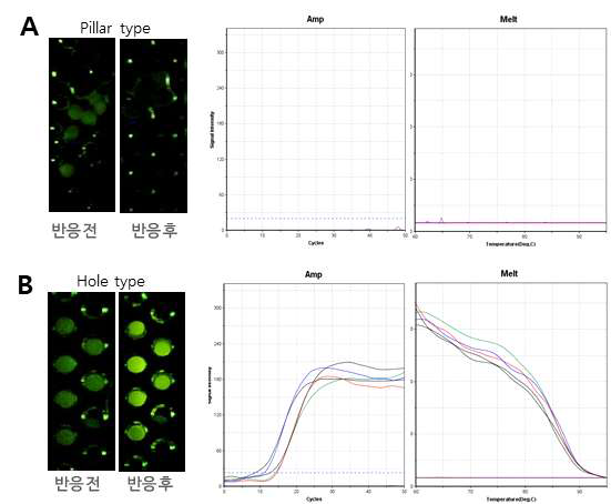 Pillar & hole type chip을 사용한 PCR 실험 결과