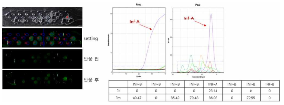 다중입자 정렬 chip 특이도 확인