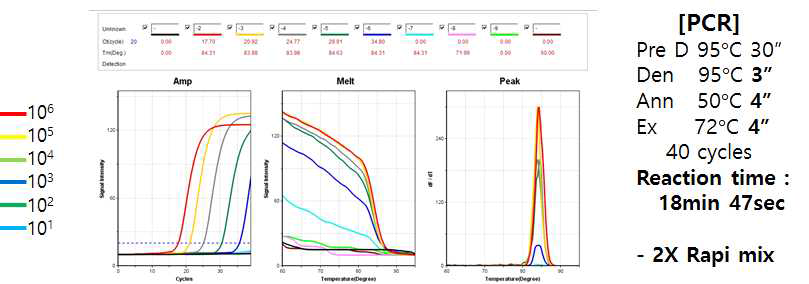 DNA 표준물질을 이용한 LOD 측정. 106 ~ 101/rxn의 농도로 단계 희석한 표준물질을 이용하여 PCR을 수행하였음