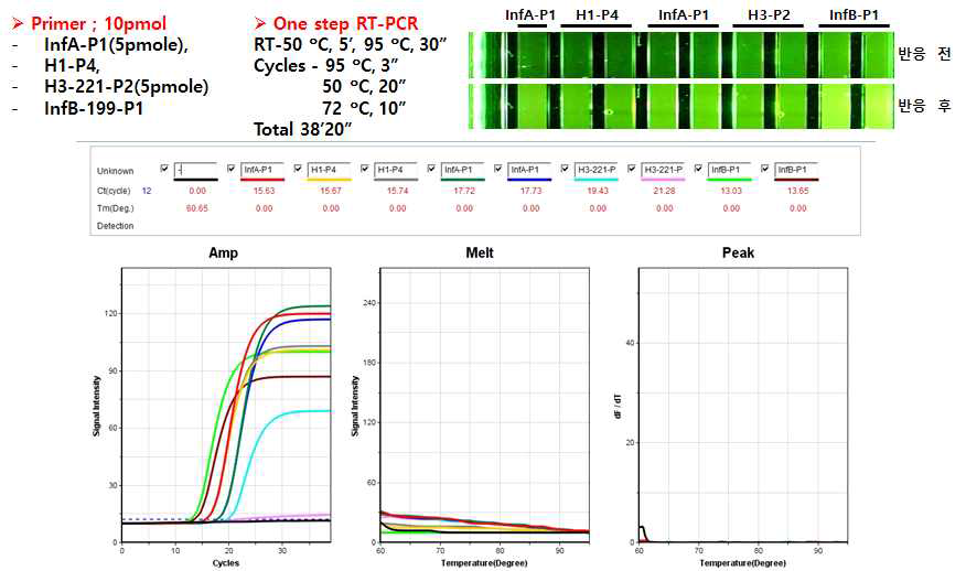 TaqMan 프로브를 이용한 인플루엔자 진단
