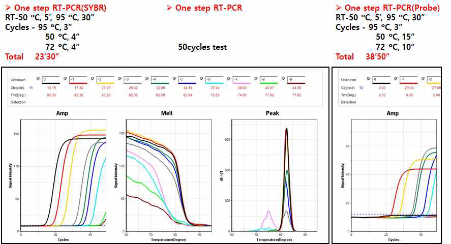 SYBR과 TaqMan 프로브 진단시 진단LOD 및 진단 시간 비교