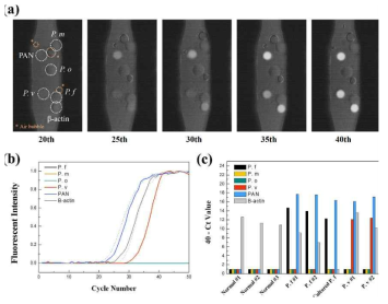 Multiplex qPCR for detecting Malaria by sPIN