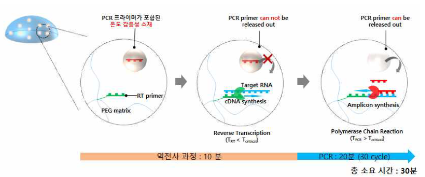 온도 감음성 소재를 이용한 one-step RT-qPCR 반응 모식도