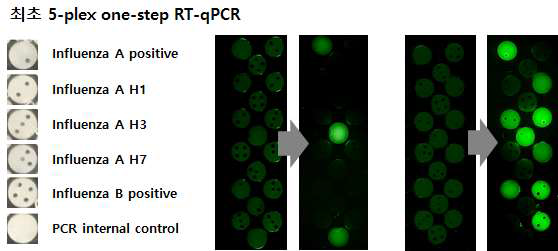 인플루엔자 A H3형 시료 분석 시, positive control 인 Inf. A 와 H3만 PCR 반응이 진행되면서 신호를 뚜렷이 보이며 단일단계 어세이로 아형까지 30분 내에 판정