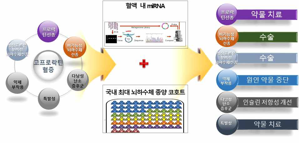 연구 개념도