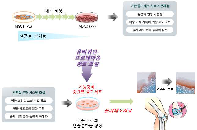 연구개념도