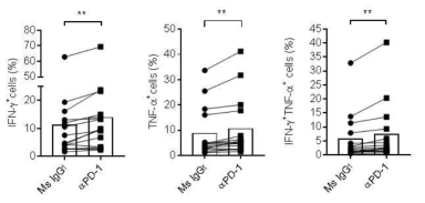 난소암에서 분리한 T cell에 anti PD1 추가에 대한 ex vivo study