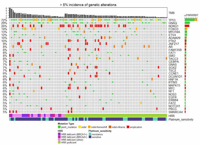 잔류종양의 mutation spectrum과 copy number