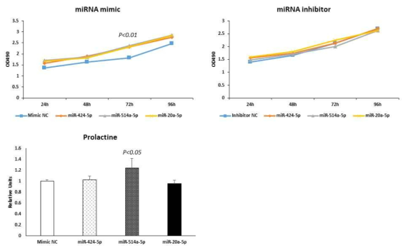 GH4 세포주에 miR mimic 과 inhibitor transfection 후 Cell proliferation 과 프로락틴 호르몬 분비능을 확인한 결과. Cell proferation – MTS assay; Hormone assay - ELISA