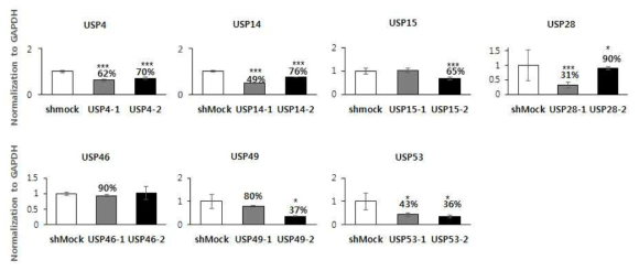 HeLa 세포에서 Lentiviral shRNA plasmid transfection에 의한 유전자 발현의 감소