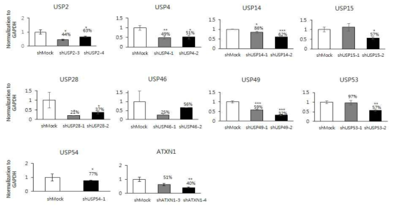 HEK293T 세포에서 Lentiviral shRNA plasmid transfection에 의한 유전자 발현의 감소