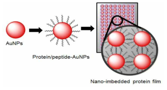 나노일렉트로닉스용 나노물질을 이용한 nano-imbedded protein film 제작