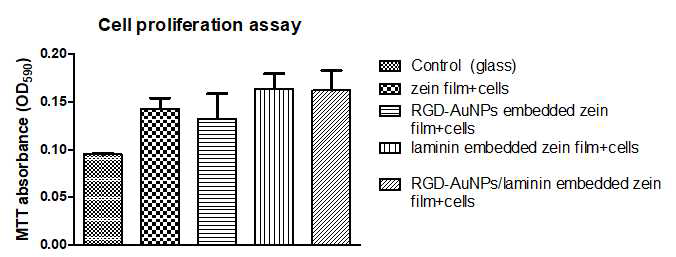MTT assay를 통한 NIMP-film이 cell proliferation에 미치는 영향 평가
