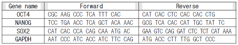 본 연구에서 분석된 유전자 프라이머 서열
