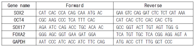 본 연구에서 분석된 유전자 qPCR 프라이머 서열
