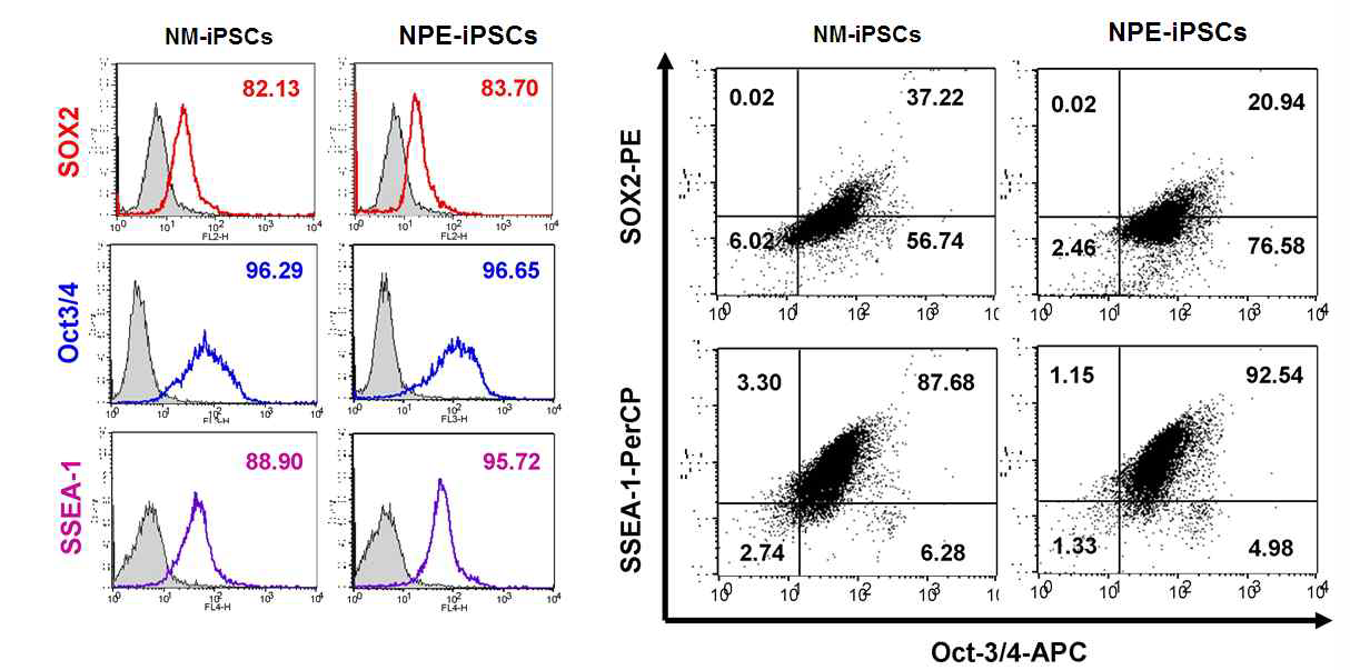FACS 분석을 통한 줄기세포 특정 인자 발현 확인