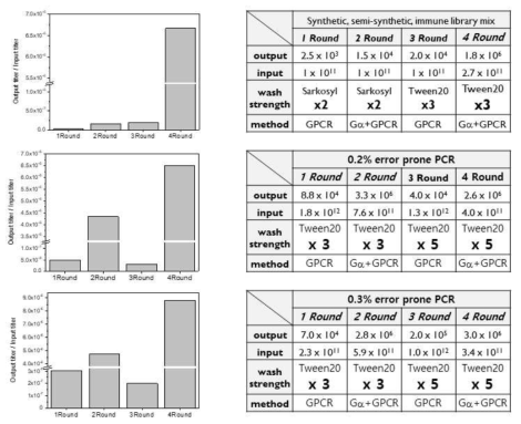다양한 항체 라이브러리를 이용한 바이오패닝의 각 round별 input 대비 output titer 결과