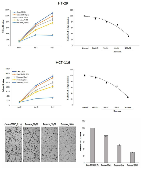 HT-29, HCT-116 암세포주의 Bosentan 처리에 따른 항암효과 실험 결과