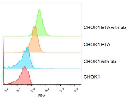 ETA 과발현 세포주 (CHOK1-ETA)와 depletion 세포주 (CHOK1)를 이용한 ETA 과발현 유무 분석