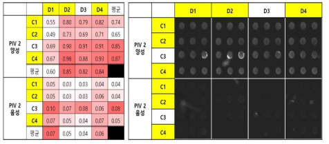 Parainfluenza 2형 단일 Capture, Detection 항체 조건 테스트