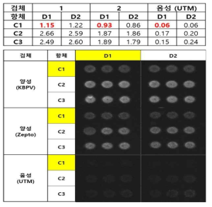 Parainfluenza 3형 유의성 평가 결과