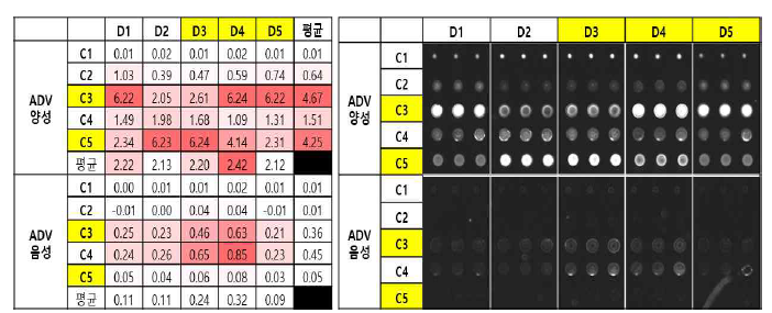 Adenovirus 단일 Capture, Detection 항체 조건 테스트