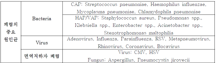 폐렴의 중요 원인균