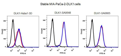 DLK1-(LC)-G7CVIM 항체들의 항원 결합력 확인