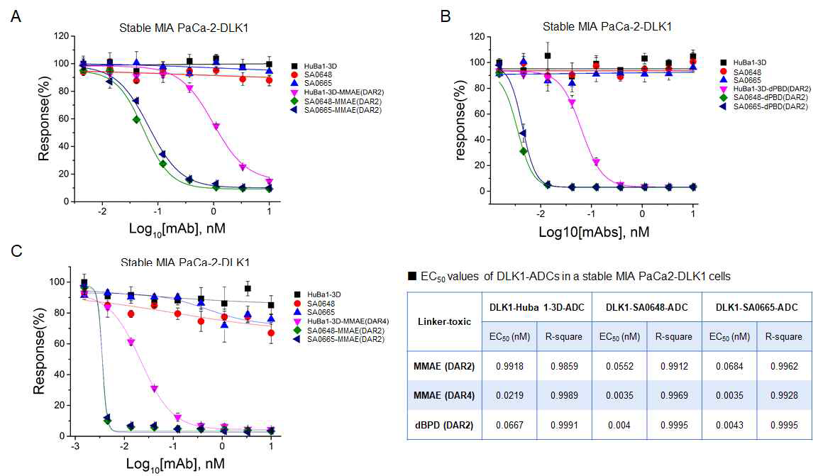 DLK1-ADC의 in vitro cytotoxicity 효능 확인